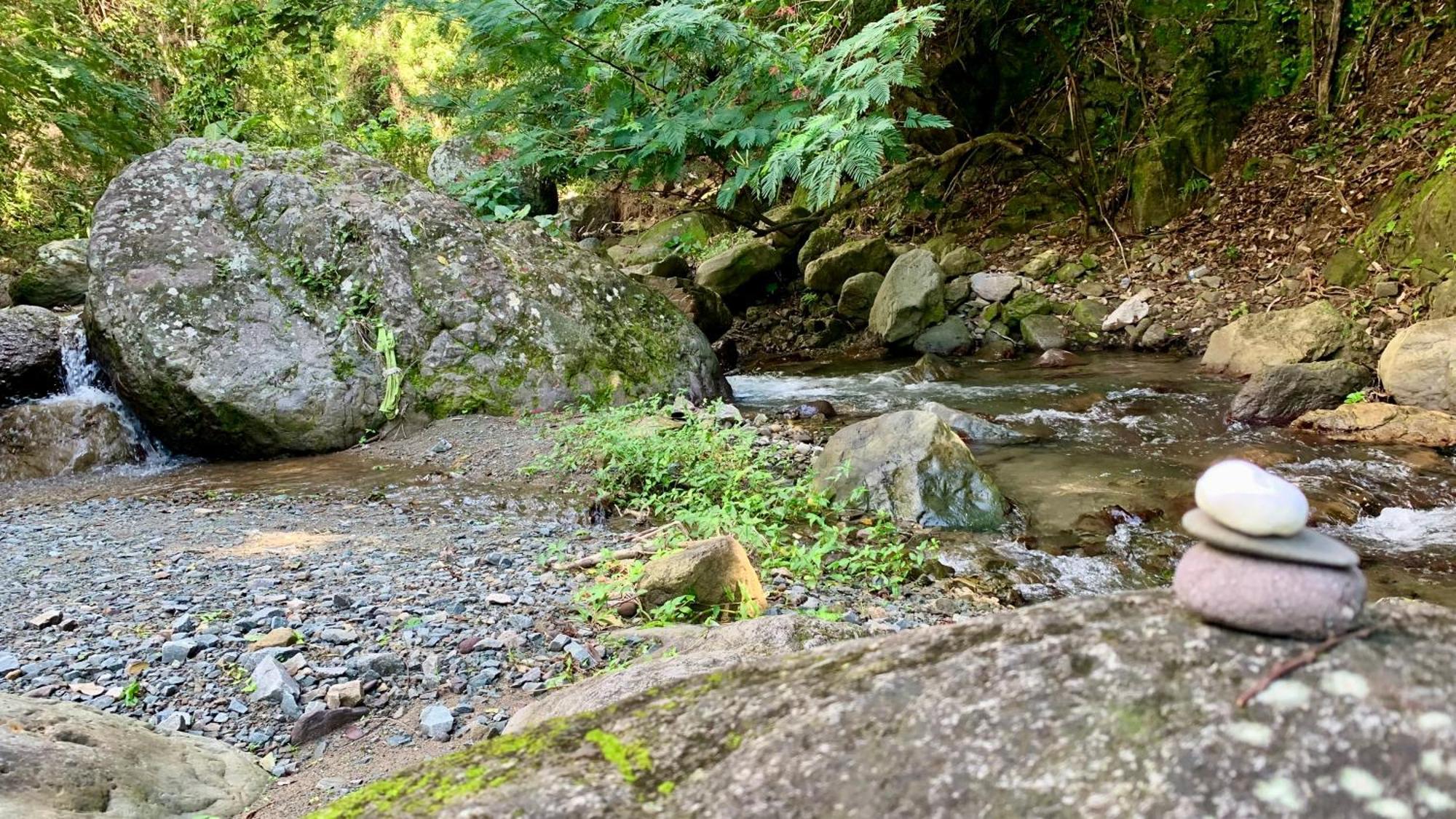 金斯敦 Gordon Town Kotch旅舍 外观 照片